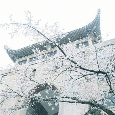 北京市朝阳区成立首批“学校家庭社会协同育人共同体”实验基地